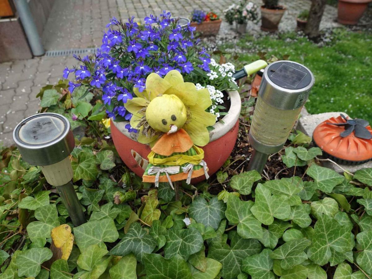 Holiday Home In Siofok - Balaton 42696 Εξωτερικό φωτογραφία
